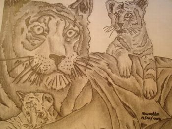 "Tiger Family"