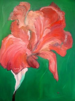 "Iris"
