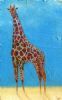 "Giraffe in the Clouds"