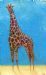 Giraffe in the Clouds