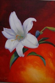 "White Lily"