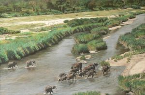 "Elephant Herd Crossing Crocodile River"