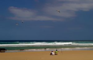 "Shoreline Fishing"