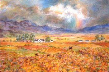 "Rainbow, Cape winelands"