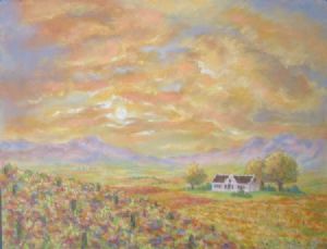 "Sunset over Cape vineyards"