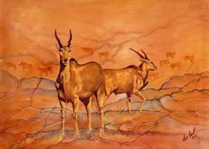 "Eland Rock Art"