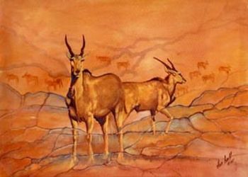 "Eland Rock Art"
