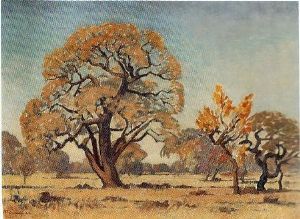 "Rustenburg"