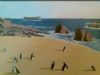 "Boulders Beach, Simonstown"
