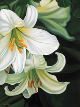 "St Joseph Lily 1"