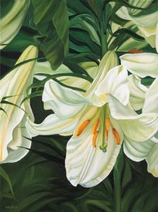 "St Joseph Lily 2"