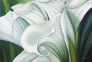 "White Arum Lilies"