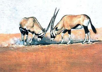 "The fight"