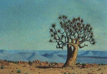 "Quiver Tree Namibia"
