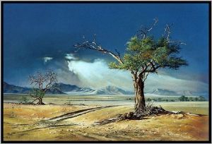 "Sesriem Namibia"