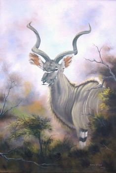 "Kudu Bull - Stately Magnificence"