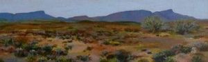 "Karoo Springtime"