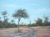 "Muddy Road - Northern Botswana"
