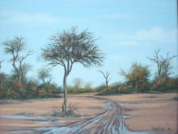 "Muddy Road - Northern Botswana"
