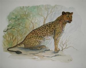 "Watchful Eye"