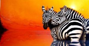 "Zebra at Sunset"