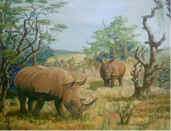 "White Rhino"