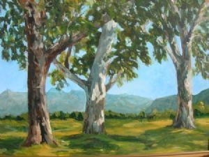 "Bluegums"