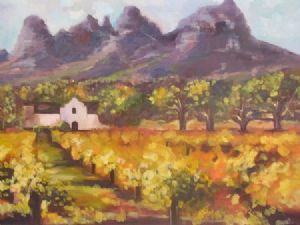 "Stellenbosch winelands"
