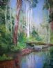"Enchanted Forest"