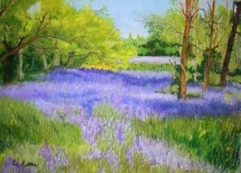 "Bluebell Wood Kew"