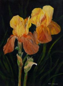 "Yellow Iris"