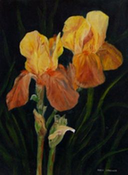 "Yellow Iris"