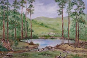 "Farm Dam South Africa"