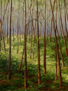 "Sunray Forrest"