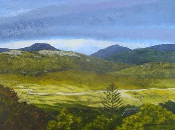 "Evening light on Silvermine"