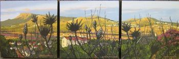 "Silvermine through fynbos - Triptych"