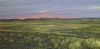 "Namibian Dawn"