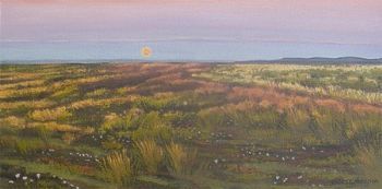 "Setting Moon in Namibia 1"
