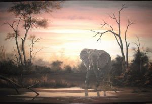"Sunset in the Savuti"