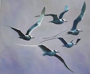 "Arctic Terns I"