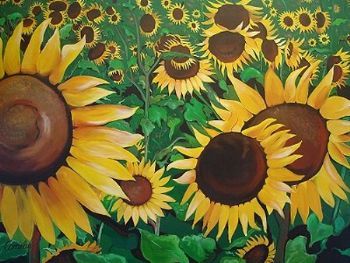 "Sunflower Selection"
