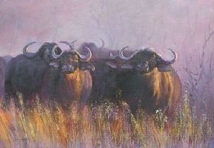 "Buffalos in the Mist"