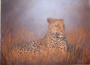 "Lazy Leopard"