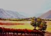 "Vineyards near Villiersdorp No1"