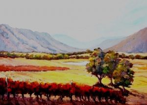 "Vineyards near Villiersdorp No1"