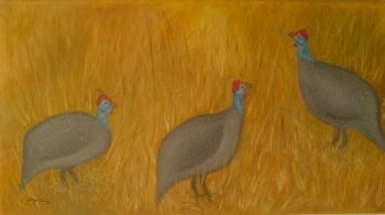 "Guinea Fowls In Field"