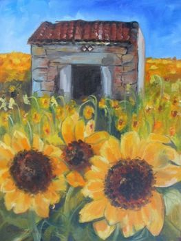 "Sunflower Fields"