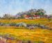 Namaqualand