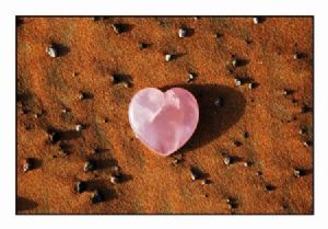 "Desert Heart"