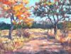 "Road in Veld"